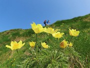 Laghi di Ponteranica dai Piani dell’Avaro con splendide fioriture – 9 giugno 25 - FOTOGALLERY